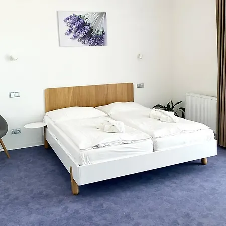 Guest house Zahradni Ceska Skalice